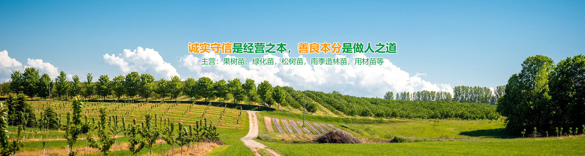 江南全站真人