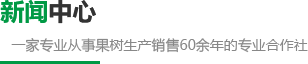 江南全站手机版