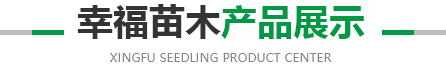 江南体育
